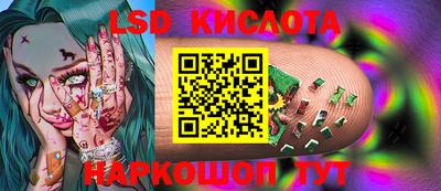 ГАЛЛЮЦИНОГЕННЫЕ ГРИБЫ Заволжье