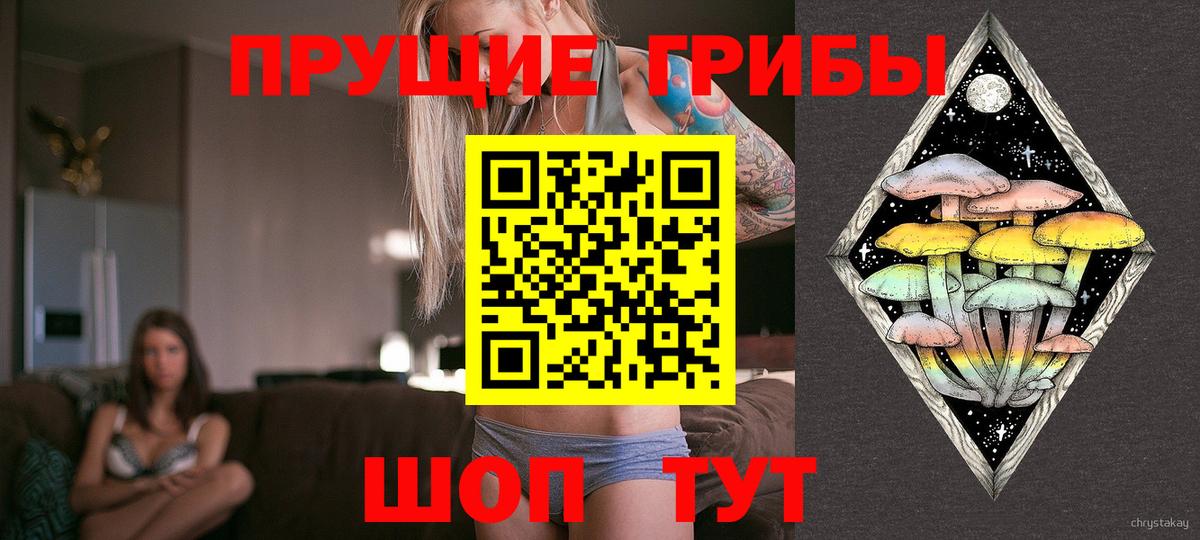 Псилоцибиновые грибы прущие грибы  Псилоцибиновые грибы ЛСД  Вход с VPN  Кохма 