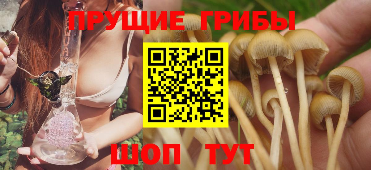 Галлюциногенные грибы MAGIC MUSHROOMS Кохма